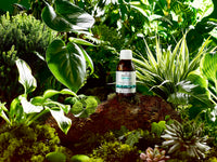 Vegetology Omega 3 | Vegan Omega 3 from Microalgae | EPA & DHA Liquid | Stronger Than Fish-Based Supplements | 100% Natural & UK Made | Vegan Omega Fish Oil Alternative