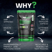 Stinging Nettle Root | 30 Capsules Vegan - 24:1 Extract 12,000mg Nettle Root per Capsule | High Strength Stinging Nettle Alternative to Powder NO Fillers & Binders | Made in UK by PROELITE