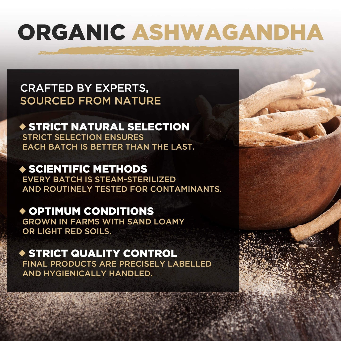 MySuperfoods Organic Ashwagandha Powder 200g, Rich Source of Vitamin B6 & B12
