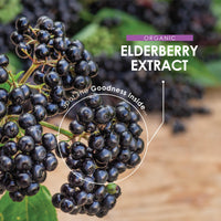 ALPHA01 Organic Elderberry Extract 7500mg – High Strength Black Sambucus Extract – 90 Vegan Capsules (3 Months Supply) – Resealable and Recyclable Pouch – by Alpha01