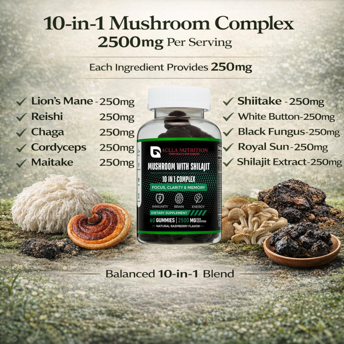 Aclla Nutrition Aclla Mushroom Gummies with Shilajit – 10-in-1 Complex with Lion’s Mane, Reishi, Chaga & More – 2500mg – Brain, Energy & Immune Support – Vegan, Low Sugar, Non-GMO – 60 Raspberry Flavour