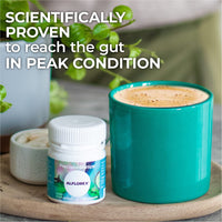 Alflorex Plus Calcium – Daily Gut Health Probiotics - Contains Calcium & Bifidobacterium Longum Bacterial Culture Strain 35624 – No Refrigeration Required - 30 Capsules