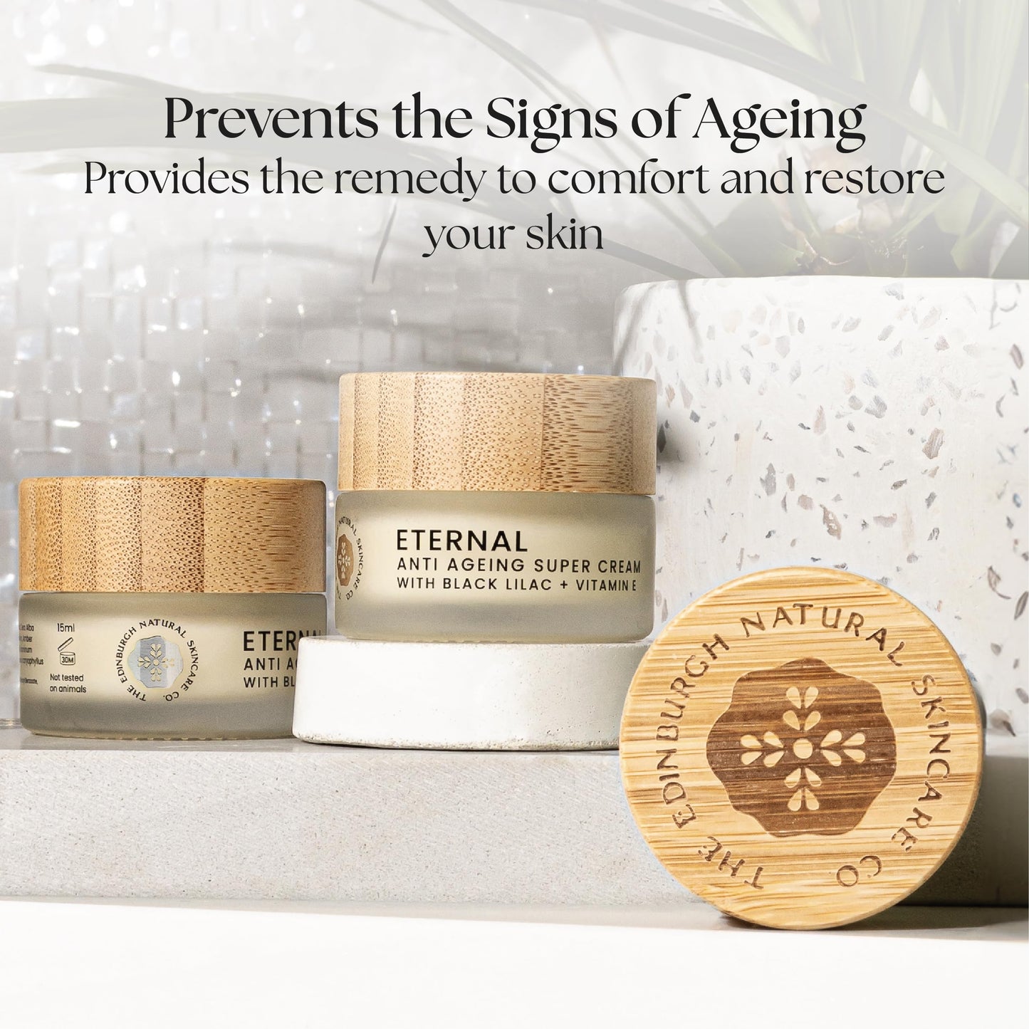 The Edinburgh Natural Skincare Company Ltd. Eternal Anti Aging Day Cream | Hydrating Face Cream | Vitamin E | Intensive Moitsuriser | For Sensitive, Dry Skin | Handmade in Scotland | 15ml