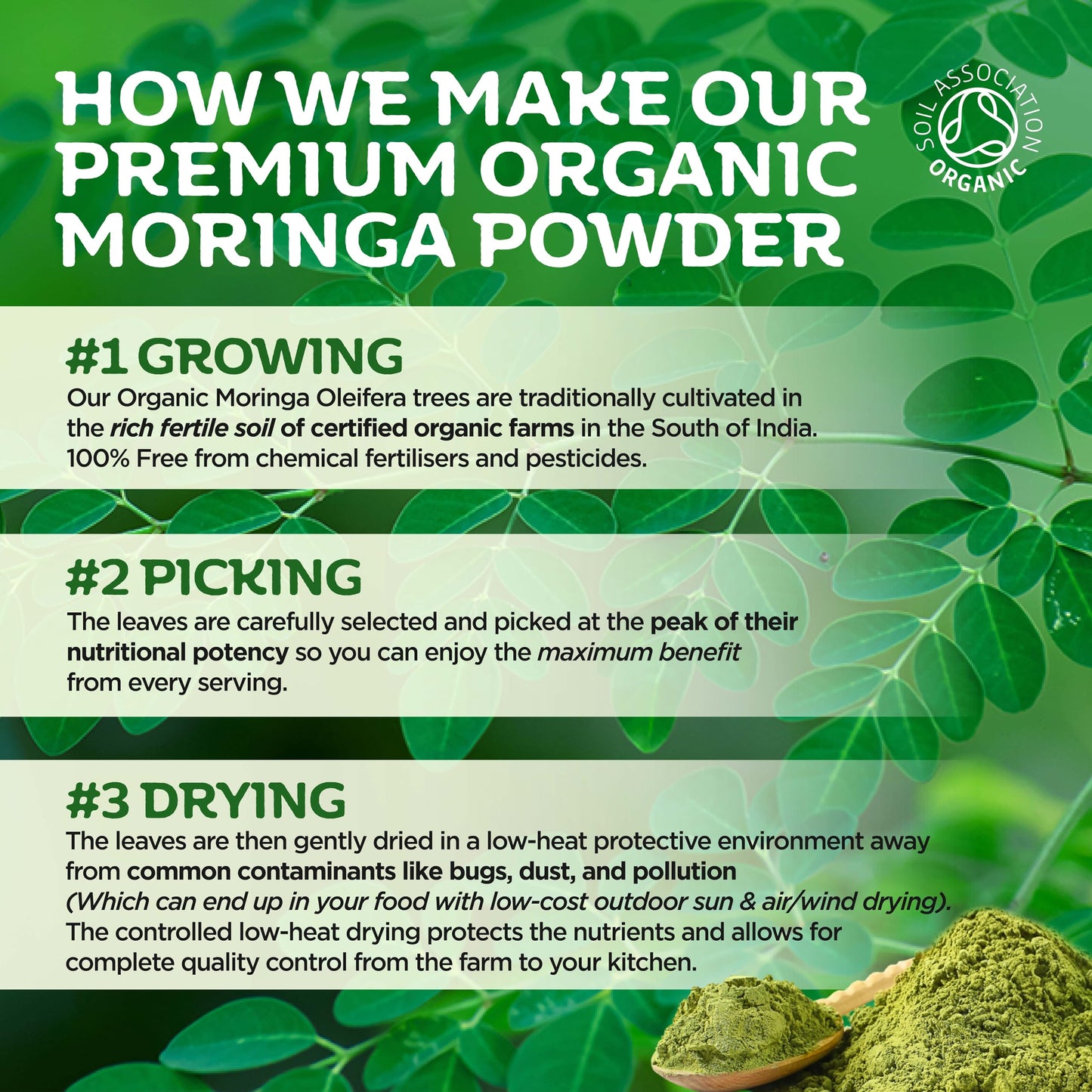 Organic Moringa Powder, Premium Certified Organic Pure Moringa 300g. Rich in Essential Vitamins & Minerals by Inner Vitality
