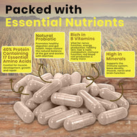 FoodPURA 365 x 600mg Brewers Yeast Capsules 100% Pure & Natural Not Debittered HACCP Certified Manufactured in The UK (365)
