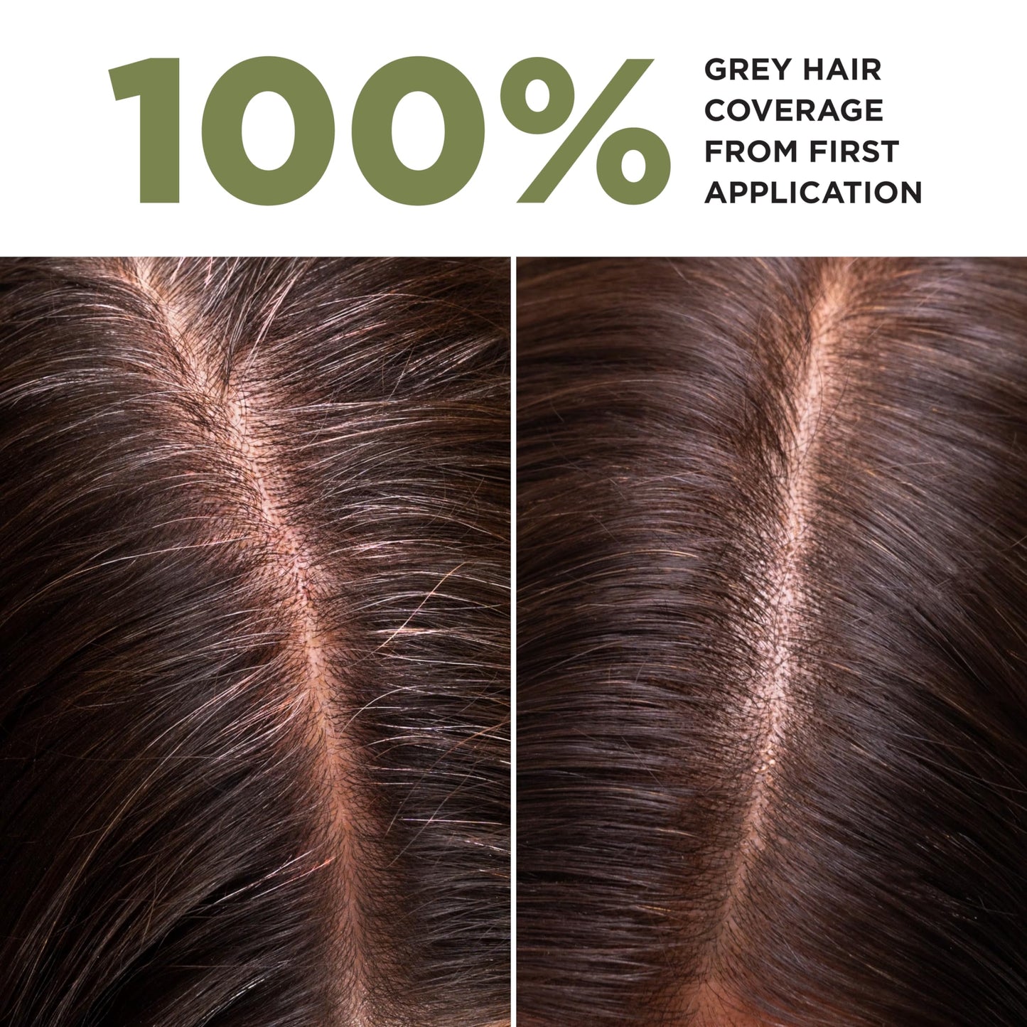 Lazartigue LAZARTIGUE LA COULEUR ABSOLUE - 5.00 Light Chestnut Permanent Haircolour, Ammonia-Free Vegan Formula with Botanical Extracts, 100% Grey Coverage, Hair Dye Kit for Home Use in 1 box