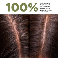 Lazartigue LAZARTIGUE LA COULEUR ABSOLUE - 5.00 Light Chestnut Permanent Haircolour, Ammonia-Free Vegan Formula with Botanical Extracts, 100% Grey Coverage, Hair Dye Kit for Home Use in 1 box