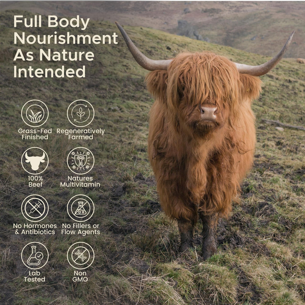 Carnivore Go 100% Grass Fed Beef Liver Capsules - for Energy, Immunity, Focus, Detoxification & Skin Health - 180, 500mg Desiccated Beef Liver Supplements - UK Made - No GMO, Hormones, Antibiotics