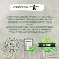 APOLLO'S HEGEMONY Lecithin 1200mg with Vitamin E - 180 Softgel Capsules - High Strength Soy Lecithin Supplement - 6 Months Supply - Supports Cognitive and Cardio Health - by Apollo's Hegemony