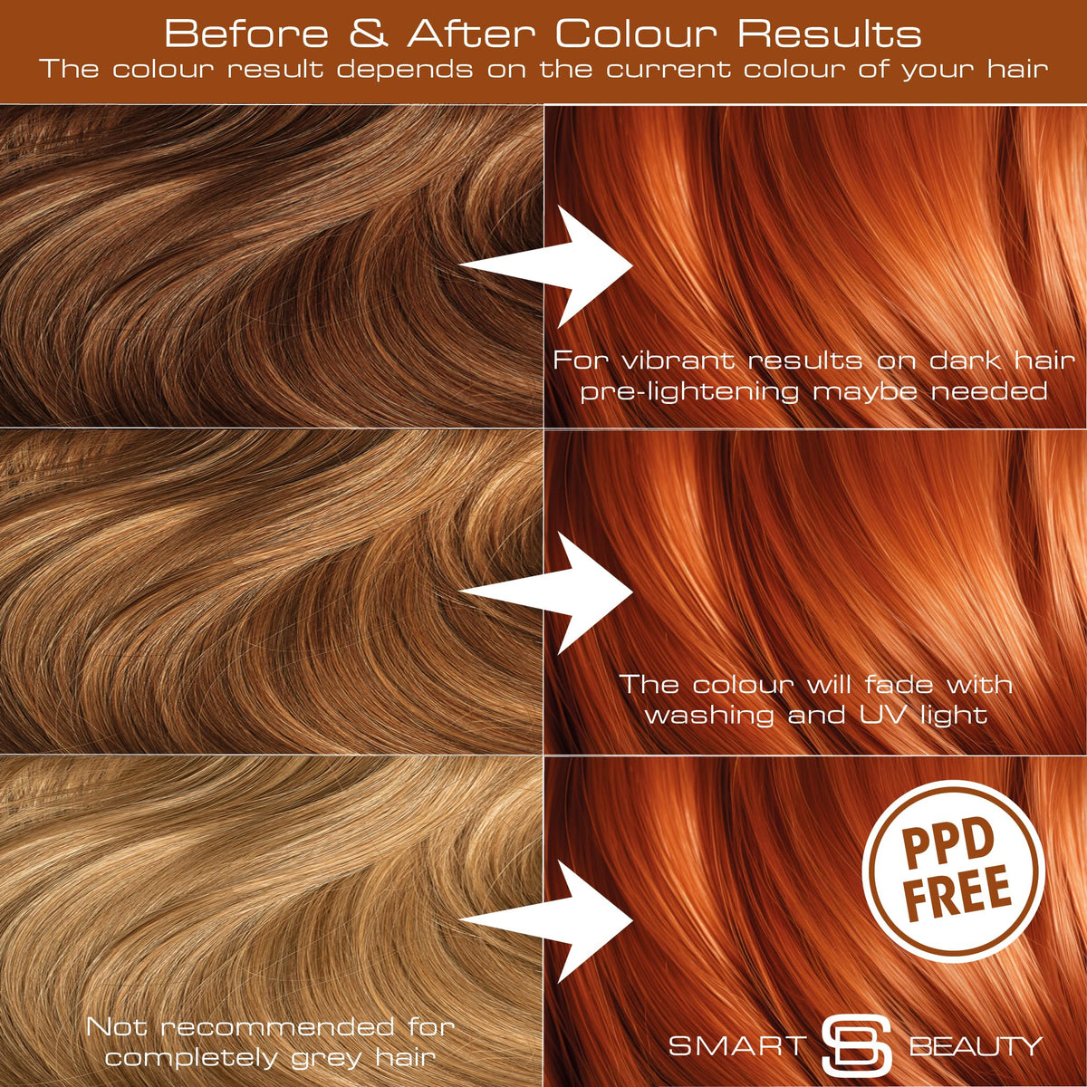 Copper Hair Dye Permanent with Plex Hair Care, PPD free hair dye 100% Grey Hair Coverage hair dye kit Ginger Permanent Hair Colour for women or men Cruelty-Free Vegan Hair Dye Smart Beauty (pack of 3)