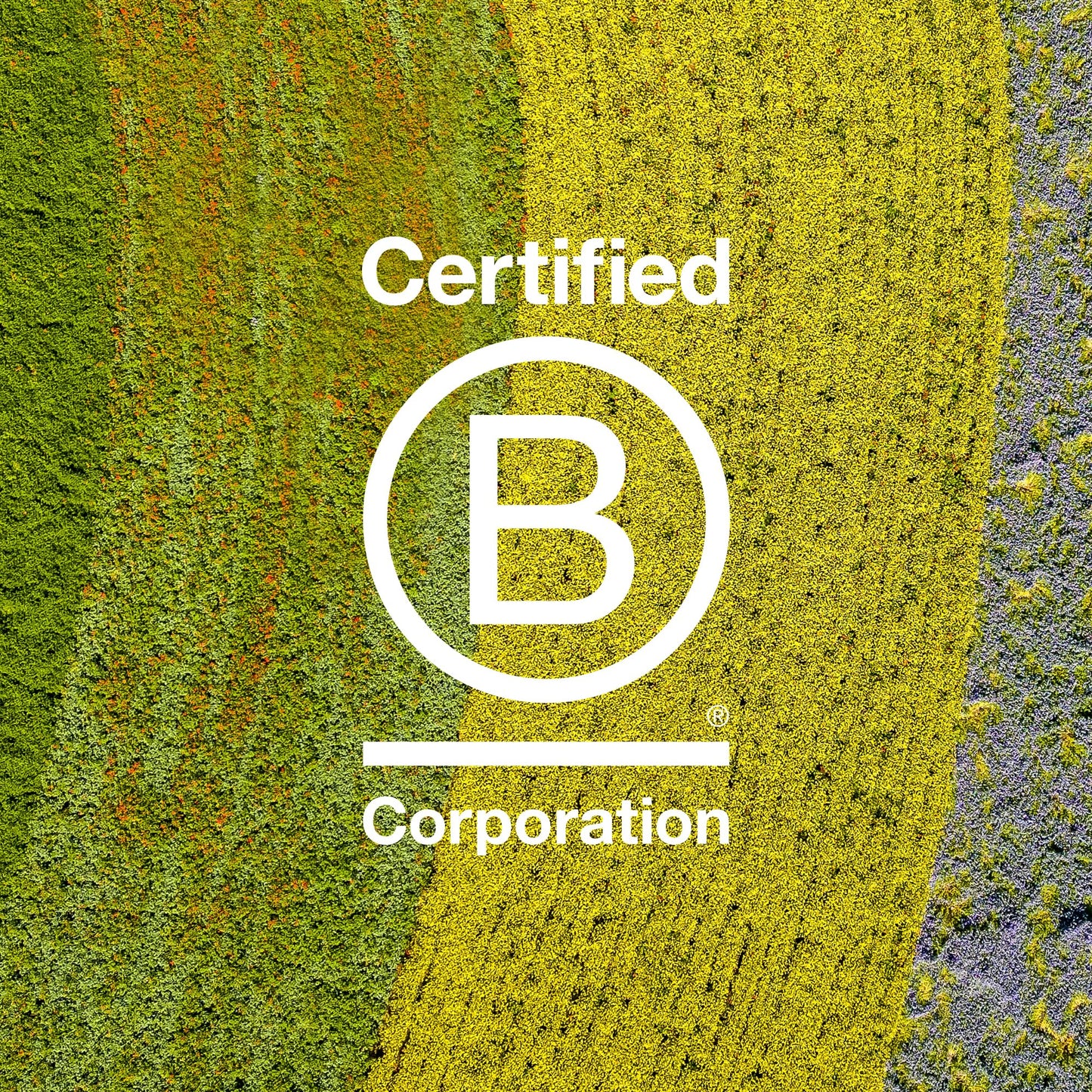 Davines Forming Pomade 75 ml