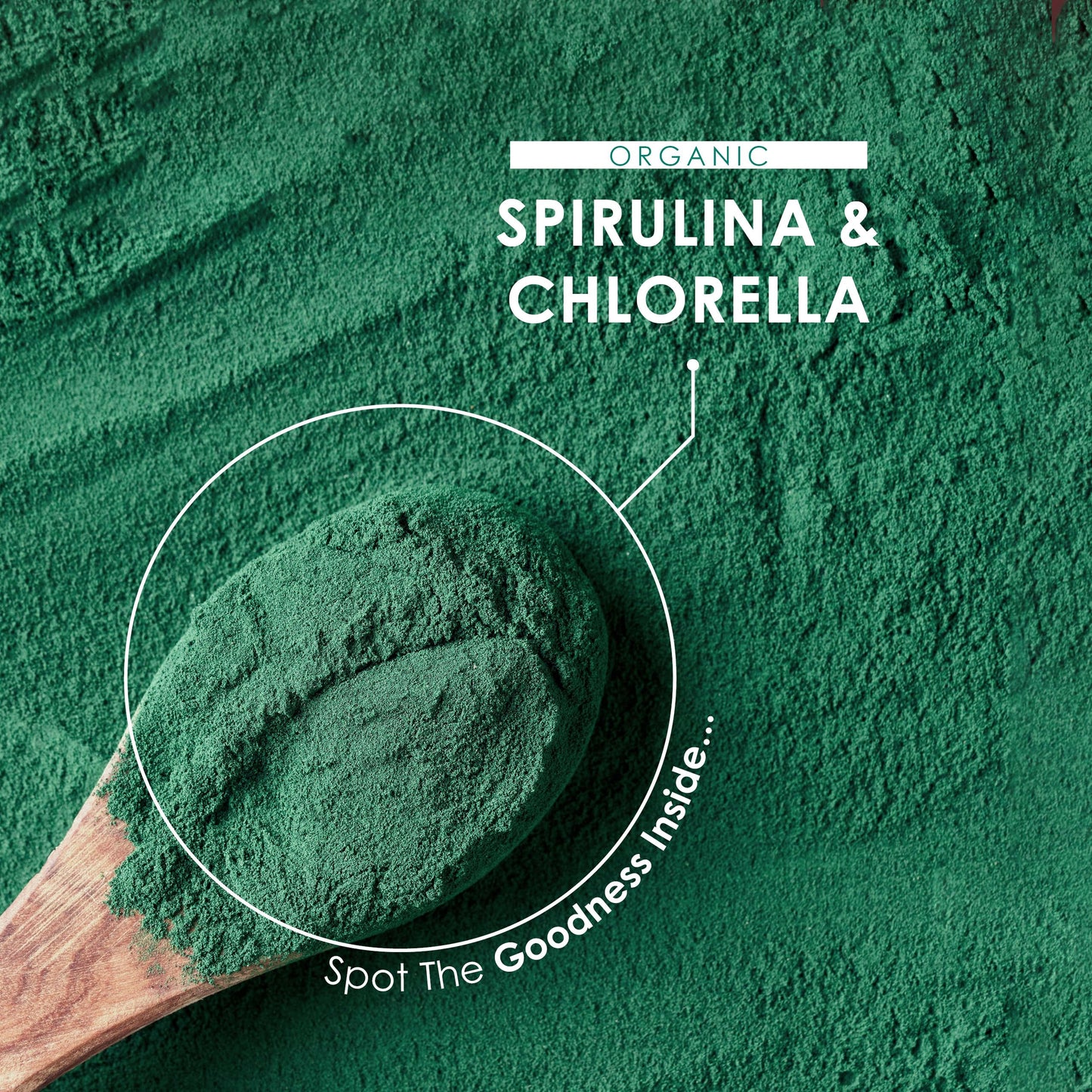 ALPHA01 Organic Spirulina & Chlorella 2000mg - 300 Tablets - Broken Cell Wall - Cold Pressed Pure Supplement with No Additives (75 Day Supply) by Alpha01