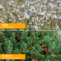 Herb Pharm Gum Guardian Herbal Mouthwash for Healthy Mouth and Gums - 4 Ounce