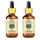 DEVPRAYAG Devprayag Pure Amla Oil (Emblica officinalis) with Glass Dropper Natural Therapeutic Grade (Pack of Two) 100mlx2 (6.76 oz)