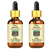 DEVPRAYAG Devprayag Pure Amla Oil (Emblica officinalis) with Glass Dropper Natural Therapeutic Grade (Pack of Two) 100mlx2 (6.76 oz)