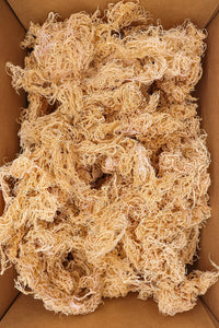 Sea Moss Capsules (St. Lucia - 60 caps) Organic | Wild Crafted | Non GMO | 92 Minerals - Containing Essential Vitamins and Minerals