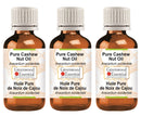 Greenwood Essential Pure Cashew Nut Oil (Anacardium occidentale) Premium Therapeutic Grade for Hair, Skin & Aromatherapy (Pack of Three) 100ml X 3 (10 oz)