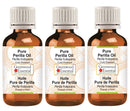 Greenwood Essential Pure Perilla Oil (Perilla frutescens) Cold Pressed 100ml x 3 (10 oz)