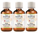 Greenwood Essential Pure Horsetail Oil (Equisetum arvense) Cold Pressed 100ml x 3 (10 oz)