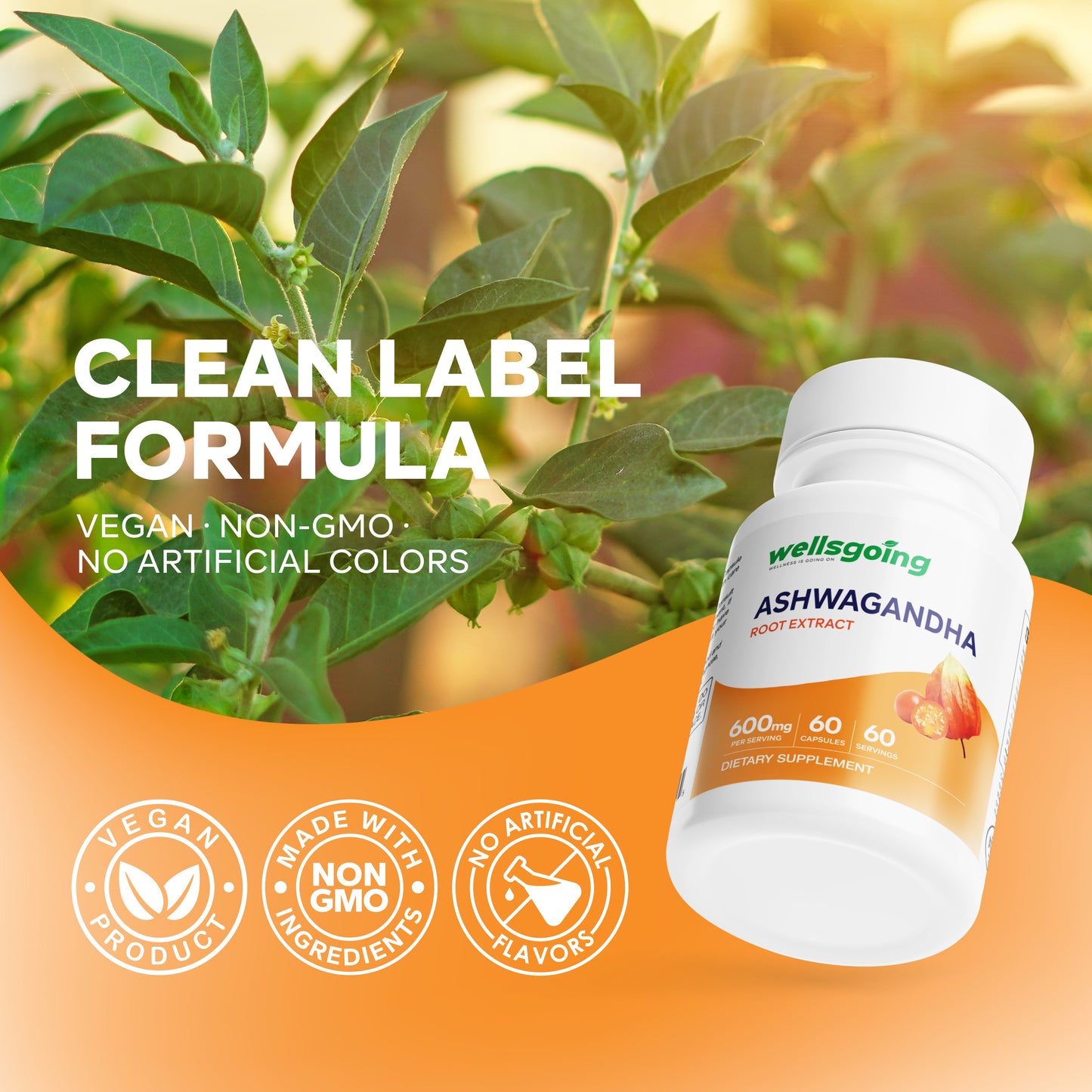 Wellsgoing Ashwagandha 600 mg – Stress & Wellness Support (60 Capsules)