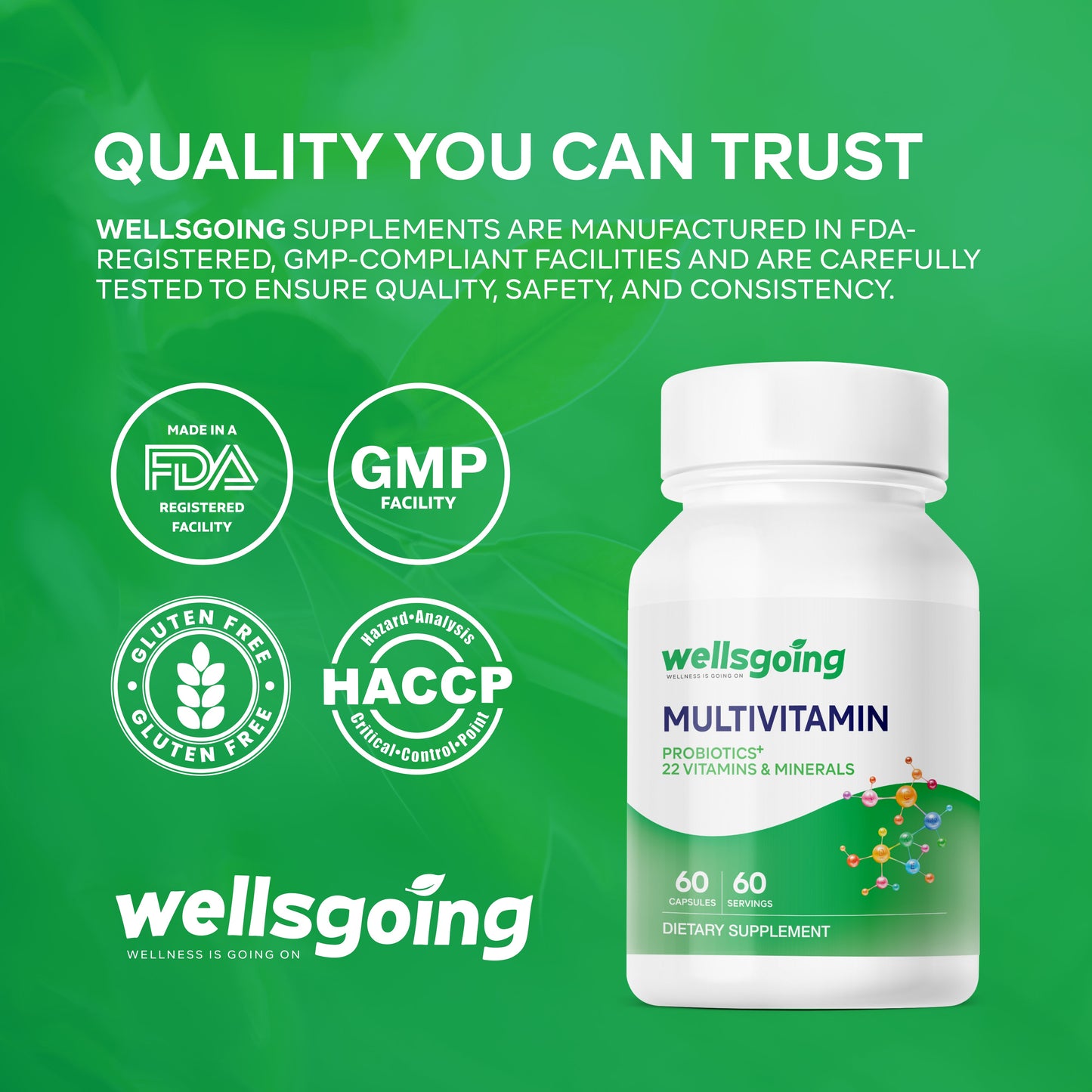 Wellsgoing Multivitamin with Probiotics – Daily Nutrition & Digestive Support (60 Capsules)