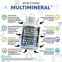 Clean Nutraceuticals MultiMineral™ Sea Moss Black Seed, 60 Capsules