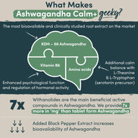 Nutrition Geeks Ashwagandha KSM 66 Complex - 60 Capsules(2 Month Supply)