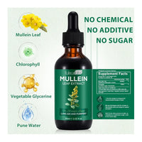 Mullein Drops for Lungs - Mullein Leaf Extract with Chlorophyll for Lung and Respiratory Support, Mullein Herbal Supplements, 2.02 fl oz (60ml)
