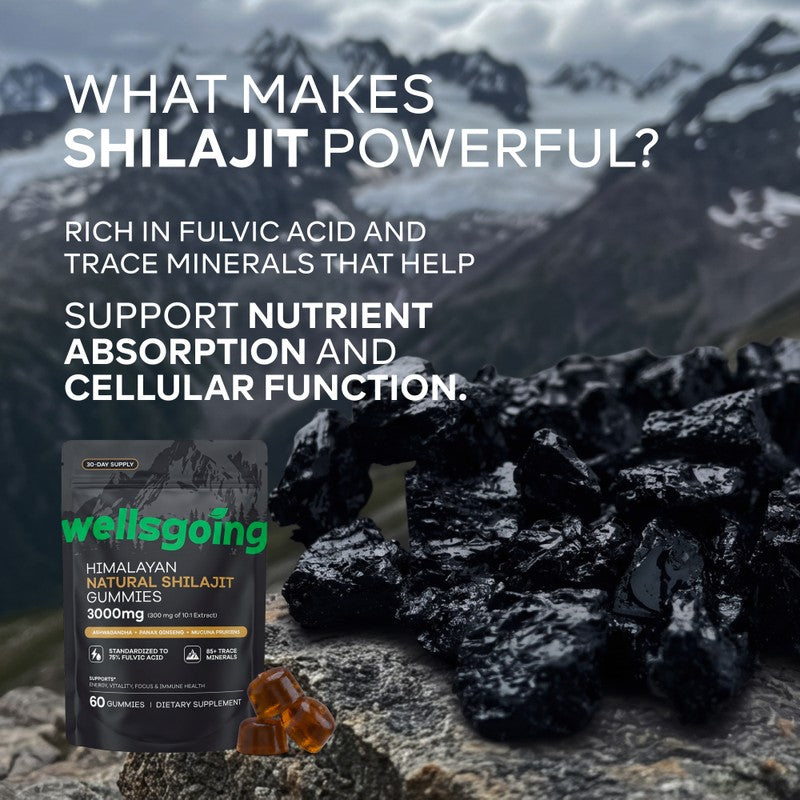 Himalayan Shilajit Gummies – 75% Fulvic Acid, Energy & Vitality Support with Ashwagandha – Daily Wellness Supplement – 60 Gummies