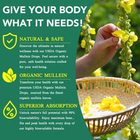 Mullein Drops for Lungs - Mullein Leaf Extract with Chlorophyll for Lung and Respiratory Support, Mullein Herbal Supplements, 2.02 fl oz (60ml)